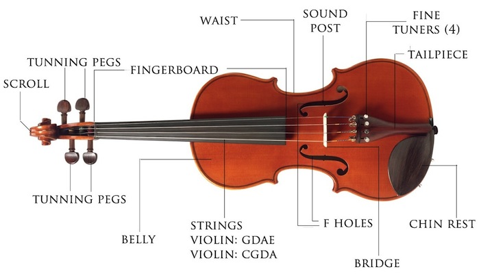 violin